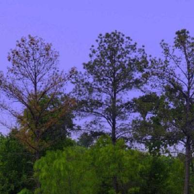 beplayapp下载登录